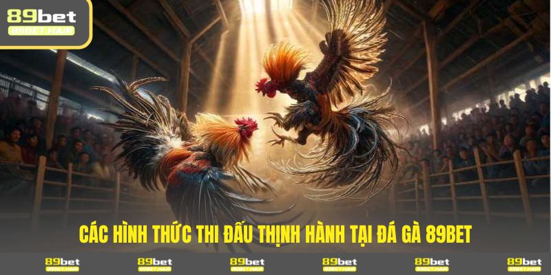 Các hình thức thi đấu thịnh hành tại đá gà 89BET