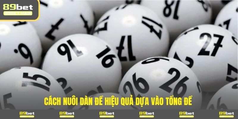 Cách nuôi dàn đề hiệu quả dựa vào tổng đề 