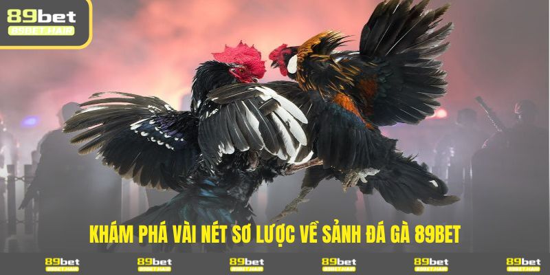Khám phá vài nét sơ lược về sảnh đá gà 89BET